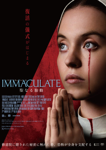 IMMACULATE