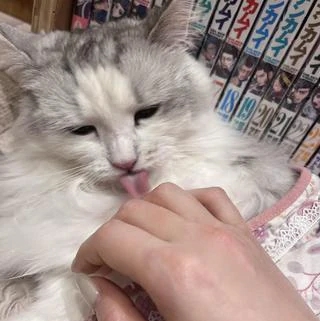 ご満悦なうちの○○○